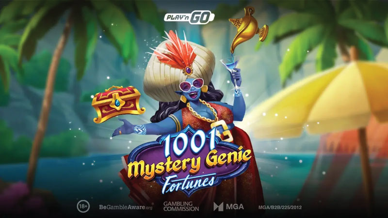 1001 Mystery Genie Fortunes