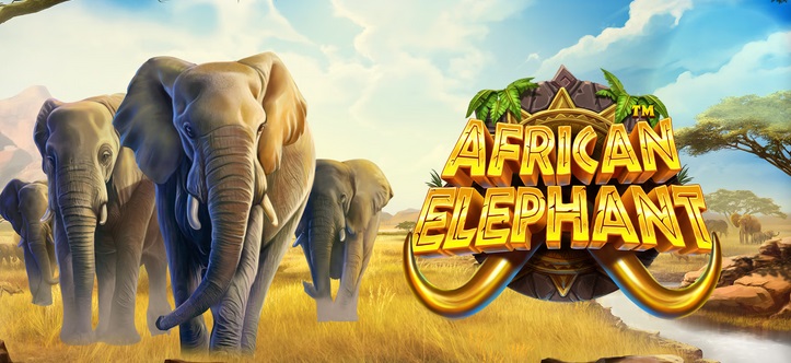 African Elephant